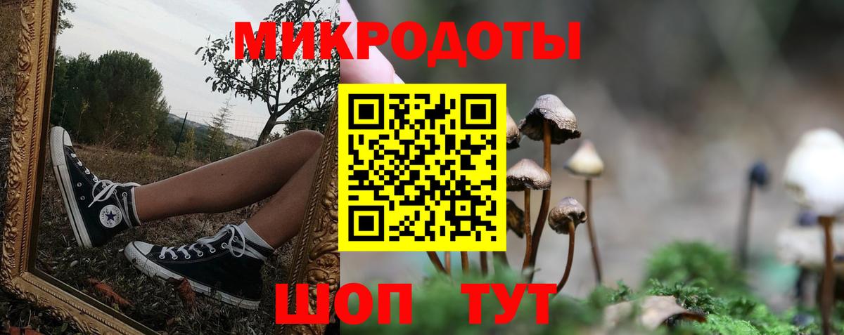 Холмск  Галлюциногенные грибы MAGIC MUSHROOMS  Вход с VPN 